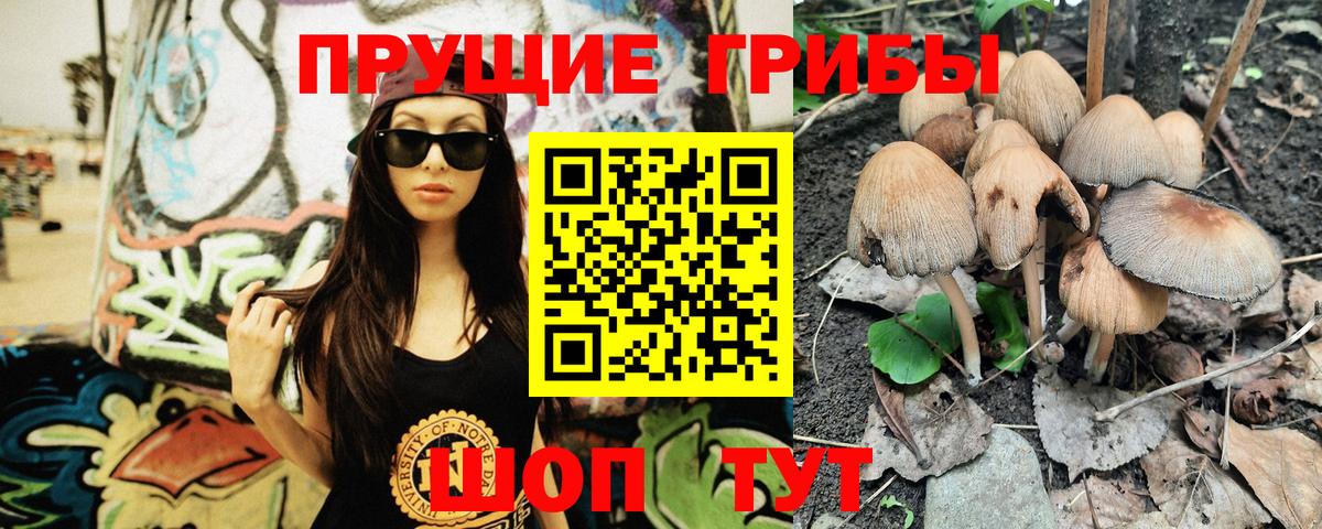 Псилоцибиновые грибы прущие грибы Сургут